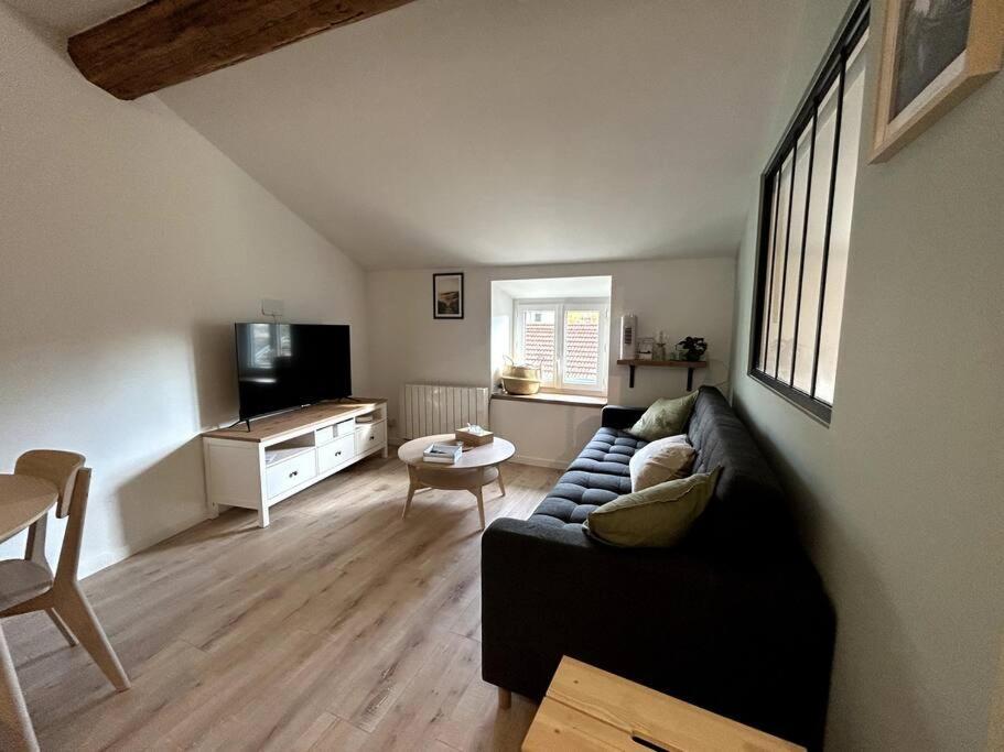 Appartement Central - L'Est Tarare Buitenkant foto